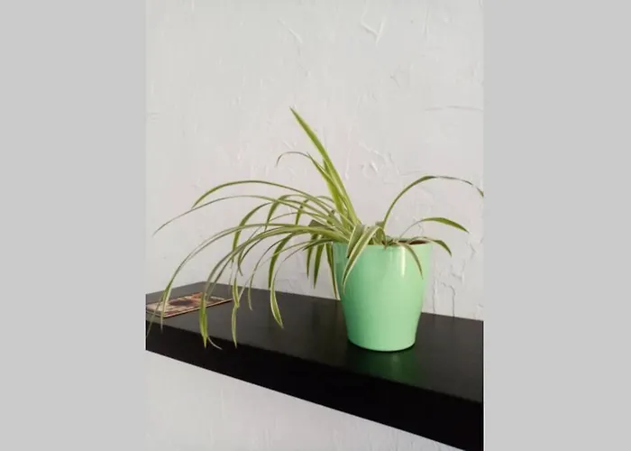 Donceel Apartamento *